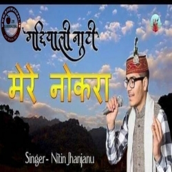 Mere Naukra - Gaddiyali Natti (DJ Song) By Nitin Jhanjanu